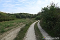 VBS_5446 - C'è un mare di velluto verde! E tu che sognavi di andare lontano... Quanta meraviglia, quì!